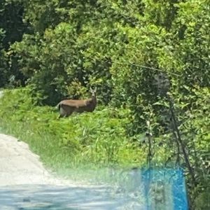 Meet your Posher, Eileen